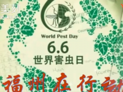 6月6日世界害虫日，福州在行动
