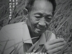 外交部:袁隆平逝世是中国和世界的巨大损失,他将永远为人们所铭记