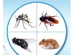 供应天津专业杀虫公司---清波杀虫图1