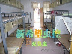 提供东莞灭臭虫图1