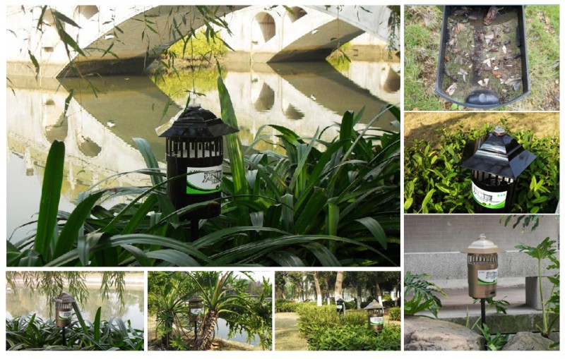 灭蚊灯安装工程4