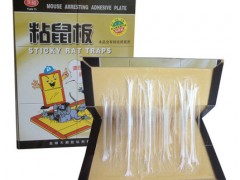 天益粘鼠板801型号30克胶水图1