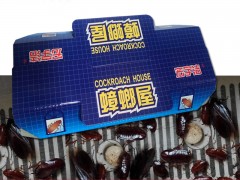 专业生产粘鼠板  蟑螂屋 粘虫板 厂家直销图1