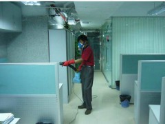 深圳宝安西丽灭四害深圳宝安西丽白蚁防治深圳宝安西丽灭老鼠公司图1