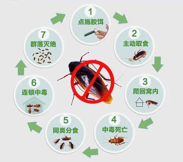 郁康特效杀蟑药,蟑螂药批发,蟑螂药代理