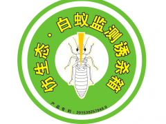 仿生态-白蚁监测诱杀箱图1