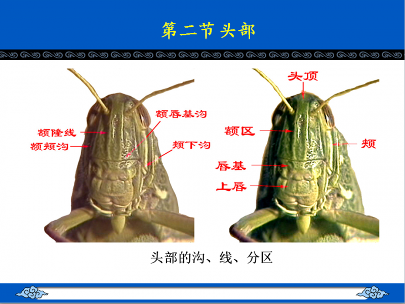 QQ截图20150929111047