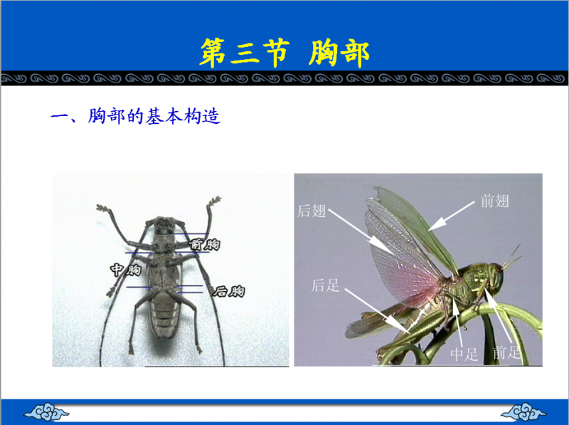 QQ截图20150929111110