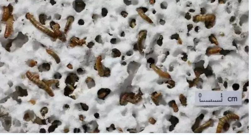 QQ图片20151002190352