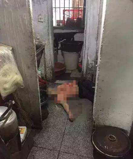 男子因菜内有苍蝇报复餐馆行凶致1死2伤 资料图