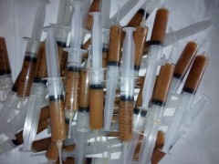 利剑杀蟑胶饵图1