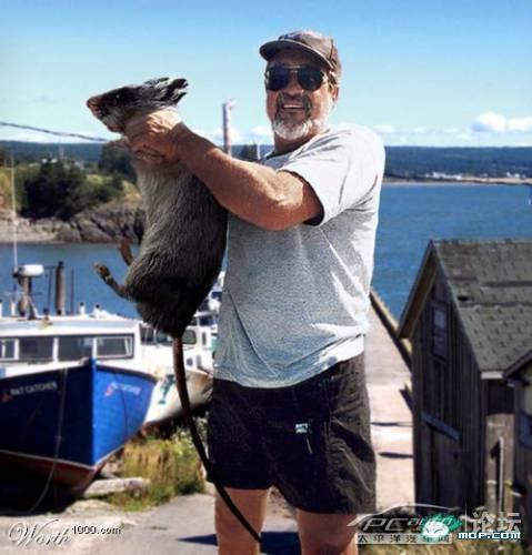 4686886_1280489458593_1024x1024