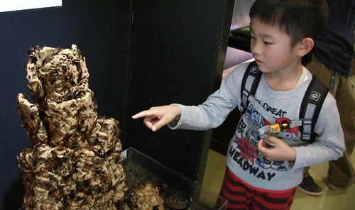 点击进入下一页