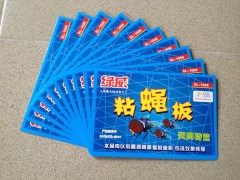 粘蝇板 苍蝇纸图1