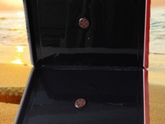 专业生产粘鼠板 粘蝇板 蟑螂屋 粘虫板 厂家直销图1