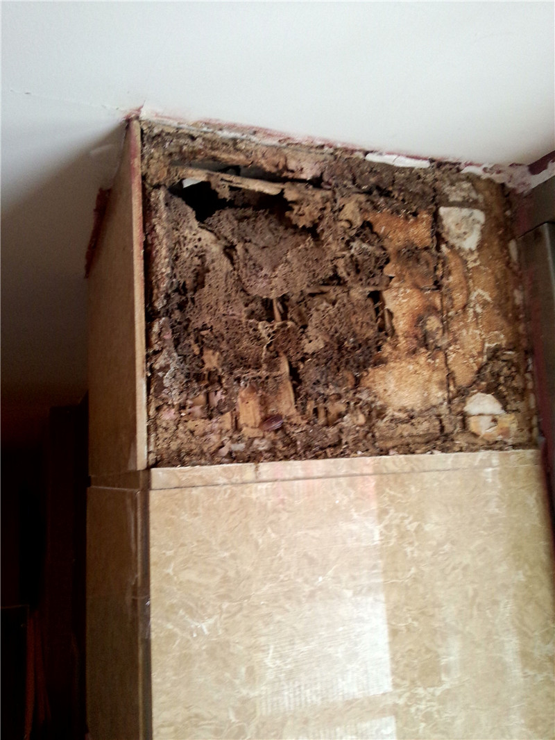 QQ图片20151207082306