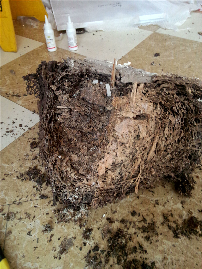 QQ图片20151207082329