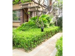 花园小区用草坪灯式户外灭蚊灯灭蚊器图3