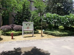 户外广告灯箱式电子灭蚊灯图2