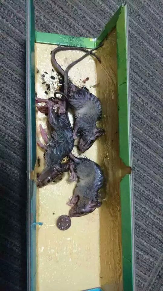 QQ图片20160319000050