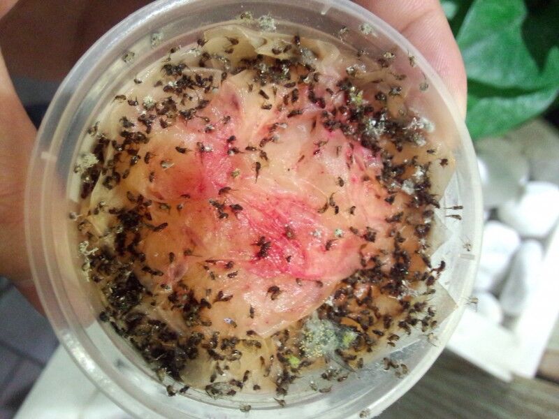 QQ图片20160319231111