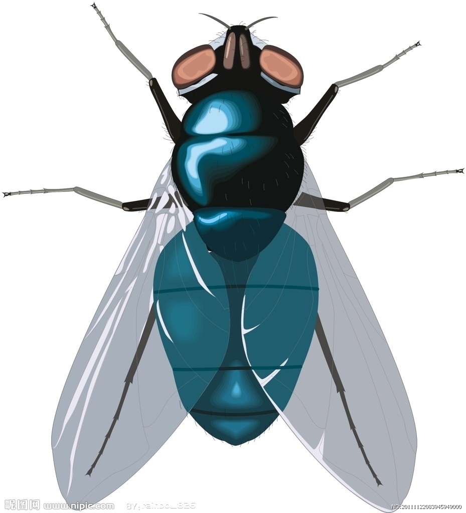 8840640_083945949000_2