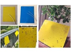 【厂家直销】批发粘虫纸黄板/蓝板-双面 诱杀白粉虱叶蝉蓟马等图1