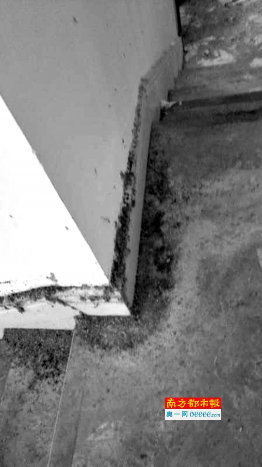 别墅内木板变形严重。受访者供图