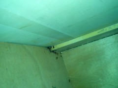 家庭杀蟑螂，西安高新路家庭灭蟑螂15332442549图3