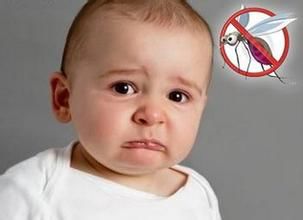 李瑛：防蚊最好的办法是蚊帐 其次是灭蚊灯