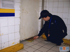 西安灭老鼠，西安专业灭鼠公司图1