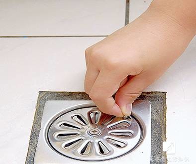 「防臭防漏防蟑螂！」排水孔加上这个东西，蟑螂不见了！排水也变畅通了！