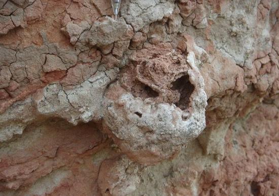 catchpic-6-60-60011AFC1EC2332647CB6AB78BB545A6