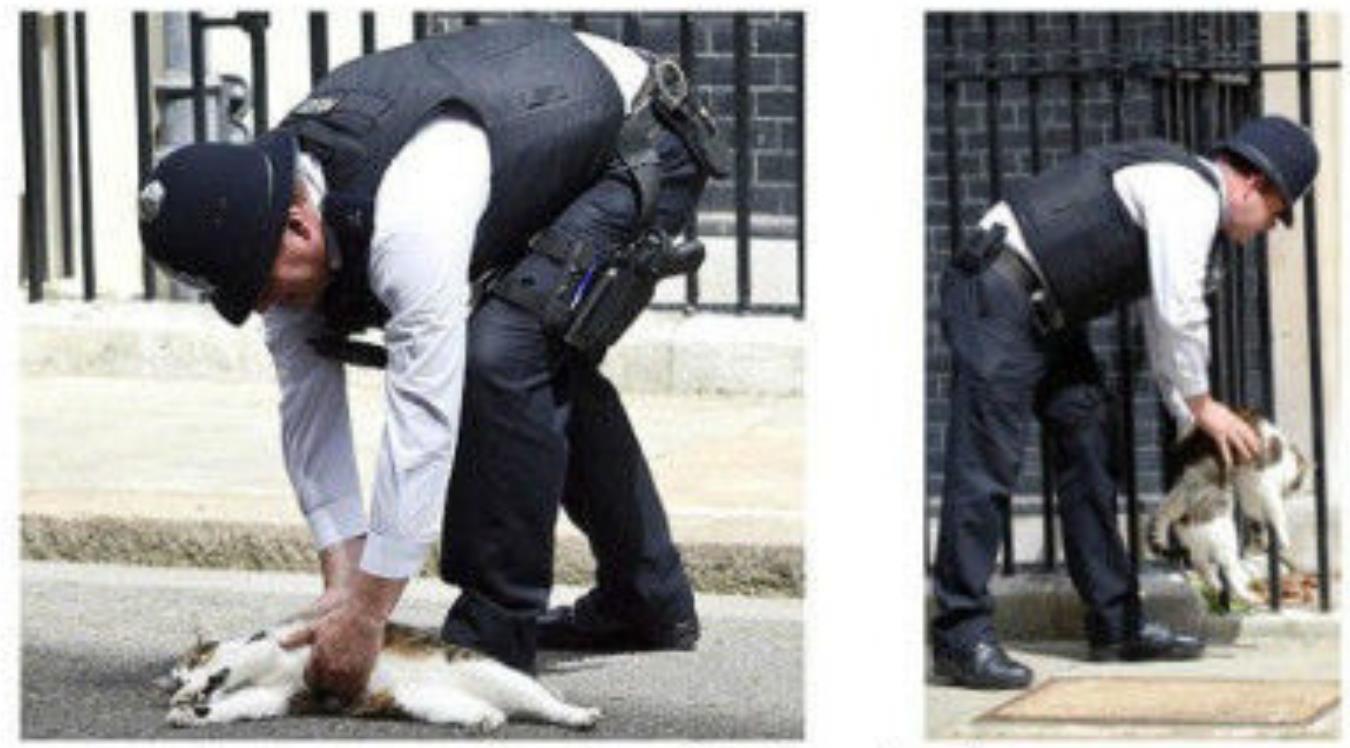 微博桌面截图_20160630091210