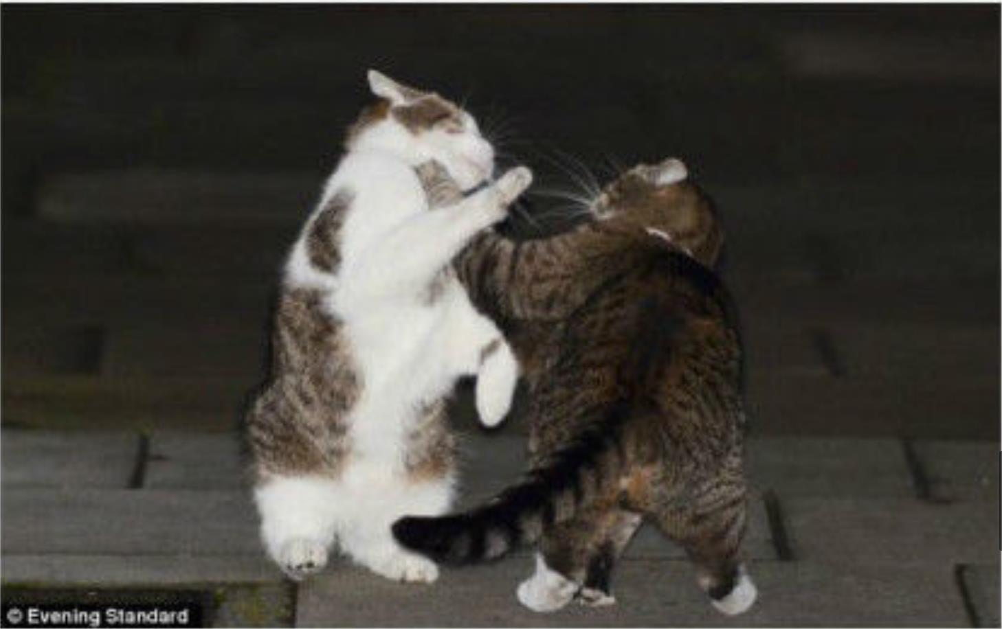 微博桌面截图_20160630091243