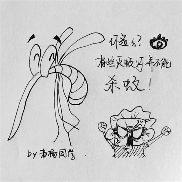 揭秘:紫外线驱蚊灯真的有用吗?