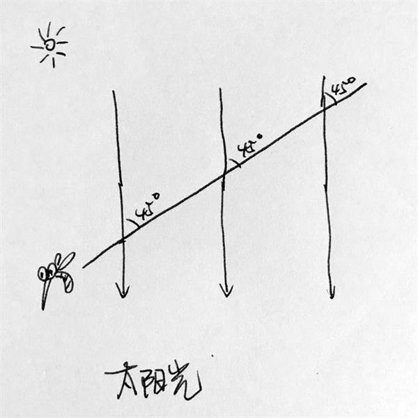 揭秘:紫外线驱蚊灯真的有用吗?