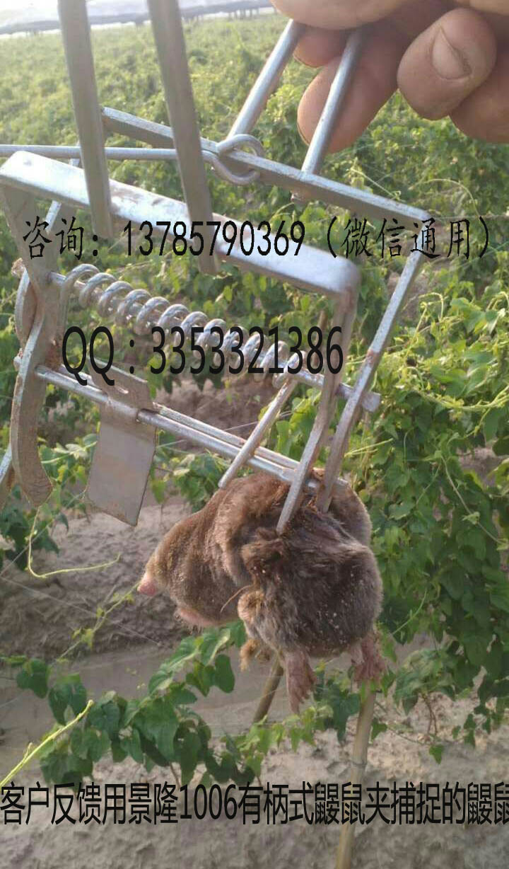 客户反馈的图片