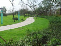 沧州景隆8803火炬式园林景观杀虫灯图3