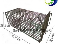 镀彩锌捕捉笼 景隆2001款捕鼠笼图2