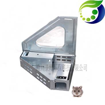 三角视窗捕鼠器老鼠