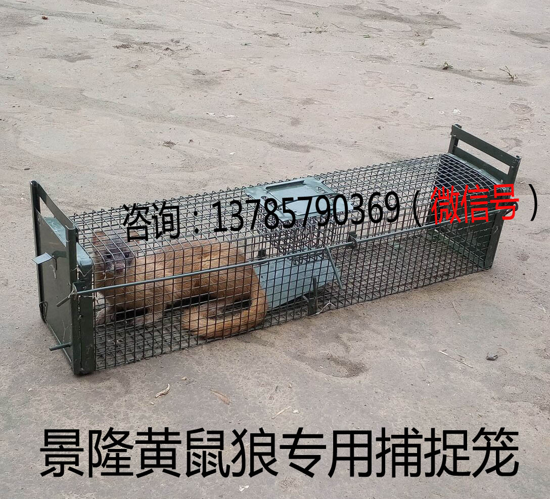 客户反馈的图片