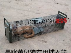 黄鼠狼专用捕捉笼 黄鼬捕捉器 臭鼬笼子图2