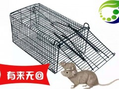 景隆2006常规捕鼠笼 捕鼠笼怎么用图1