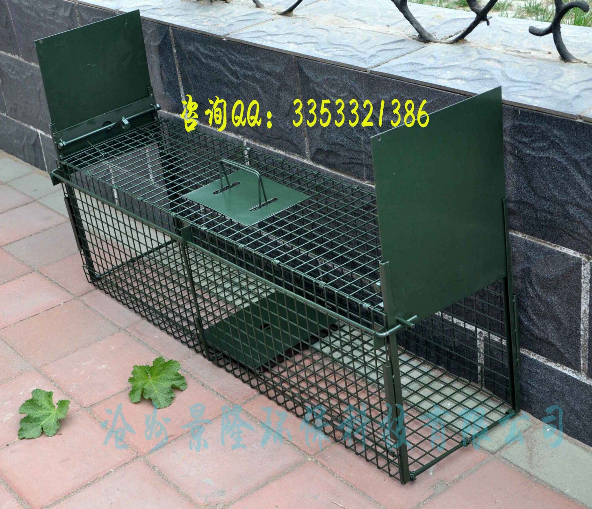 QQ图片20160415171837