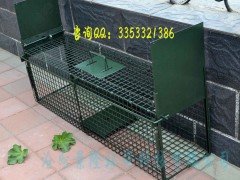 捕猫笼 景隆2010中号捕捉笼 双门捕捉笼批发图2