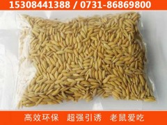 老鼠药毒饵，特效鼠药谷子批发，PCO消杀公司专用特效老鼠药图1