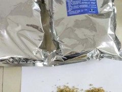 杀蟑螂粉剂杀蟑颗粒相互传染一窝端，灭蟑引诱剂图2