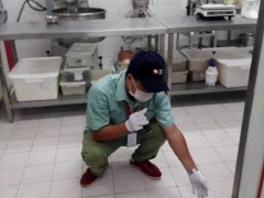 黄冈捕鼠服务图1