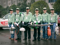 黄冈防治白蚁服务图2